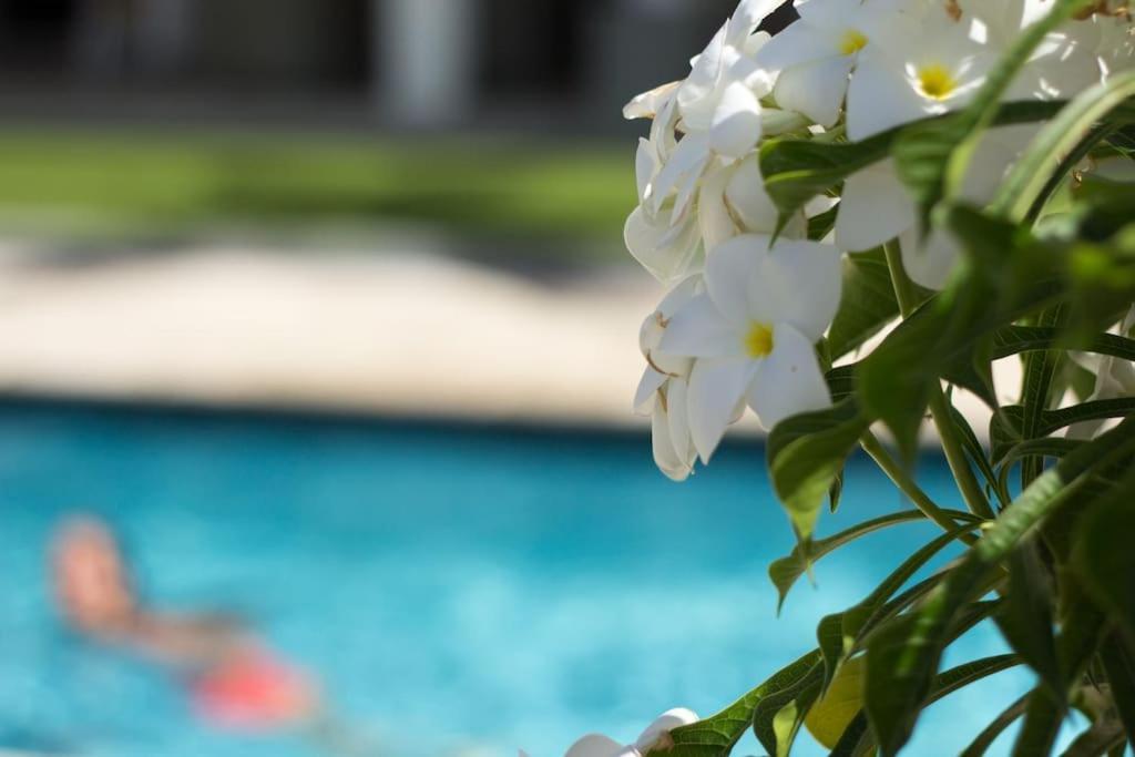 Goudhaen Luxury Private Apartments Jan Thiel Beach מראה חיצוני תמונה