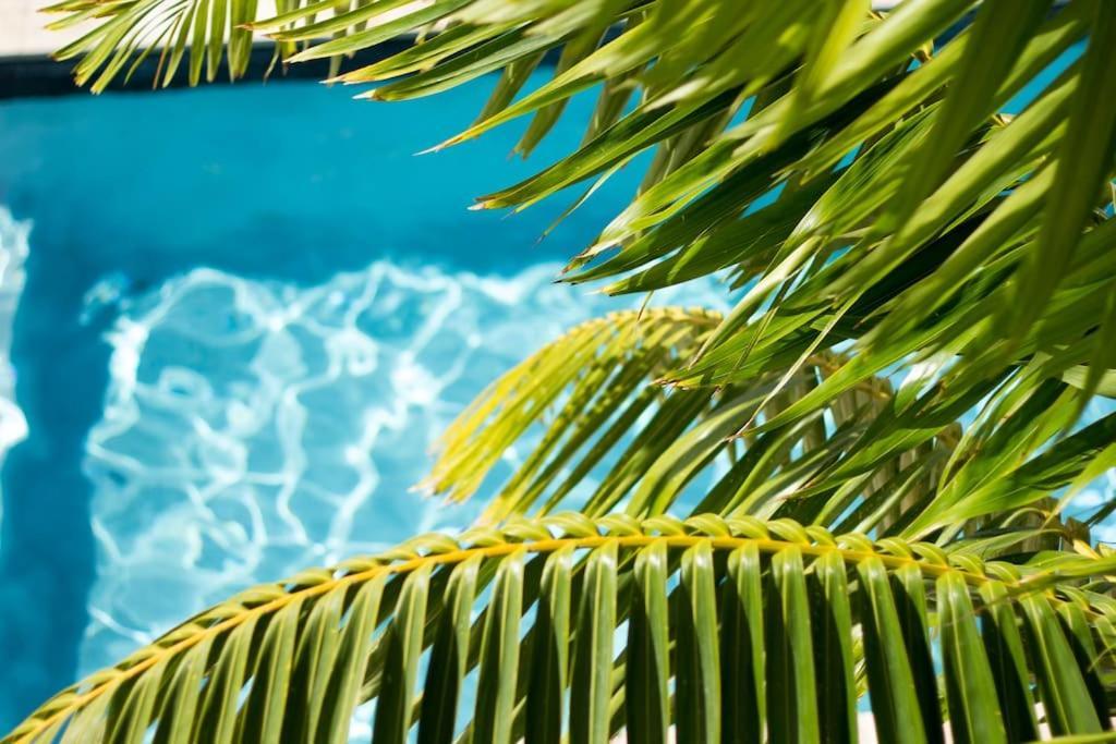 Goudhaen Luxury Private Apartments Jan Thiel Beach מראה חיצוני תמונה